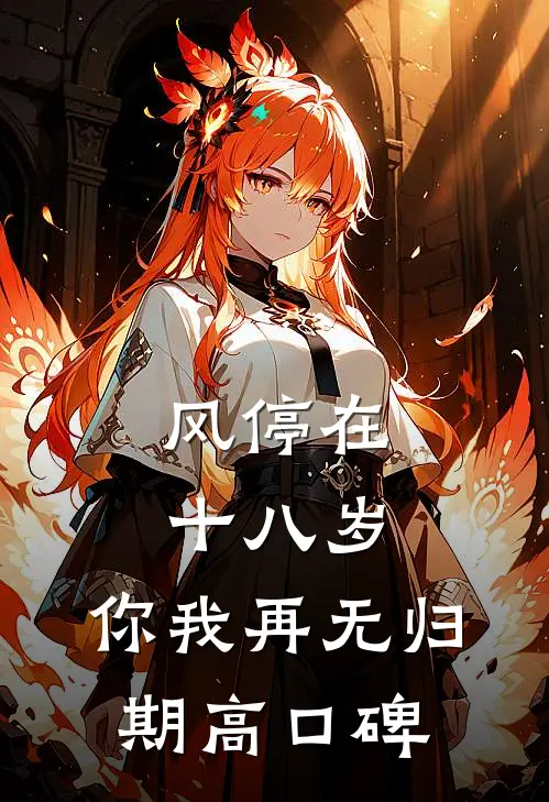 风停在十八岁，你我再无归期高口碑