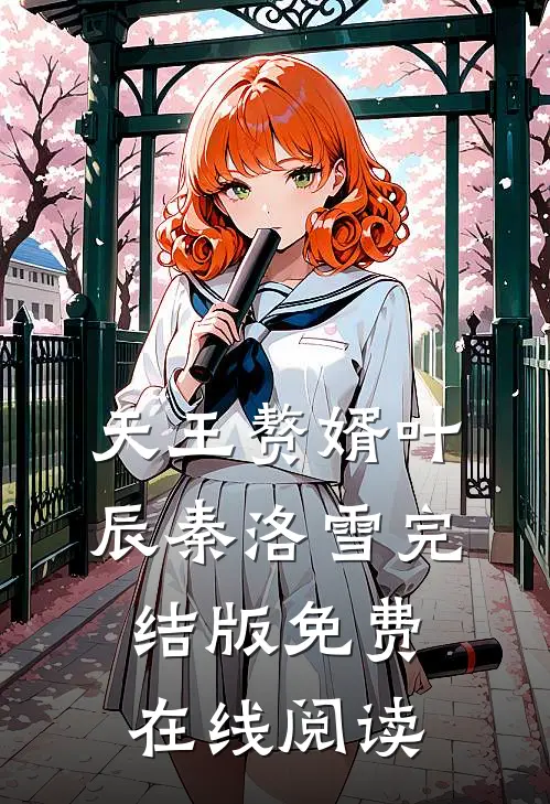 天王赘婿叶辰秦洛雪完结版免费在线阅读