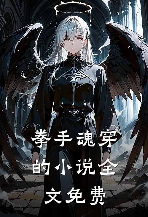 拳手魂穿的小说全文免费