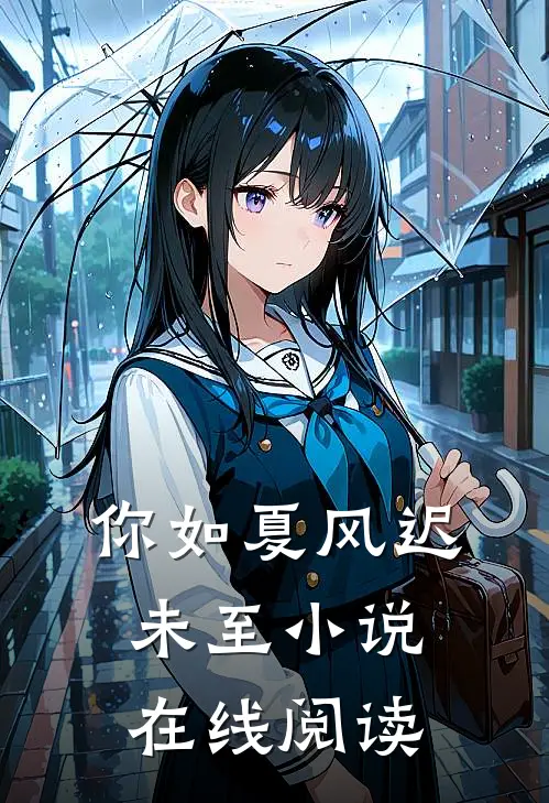 你如夏风迟未至小说在线阅读