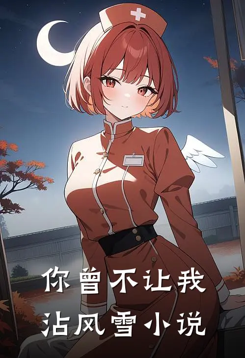 你曾不让我沾风雪小说