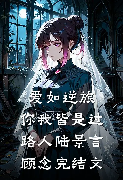 爱如逆旅，你我皆是过路人陆景言顾念完结文