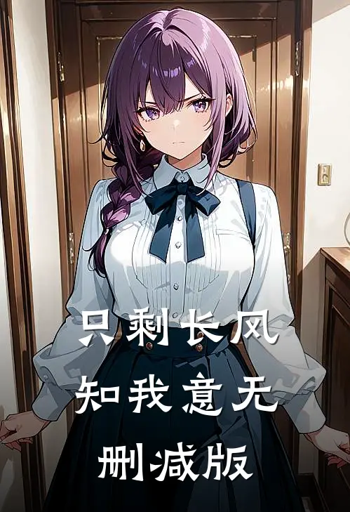 只剩长风知我意无删减版