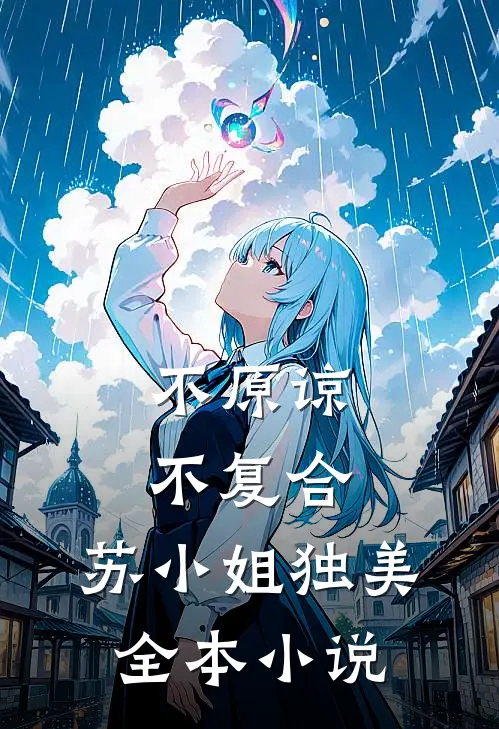 不原谅，不复合，苏小姐独美全本小说
